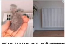 NA 0VAJ NAČIN NAJBRŽE 0ČISTITE RADIJATORE ZA 1 MINUTU: Kako se niko ranije nije sjetio ovoga?!