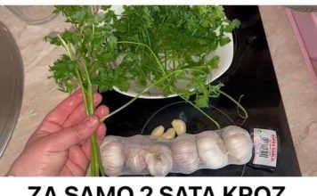 ZA SAMO 2 SATA KR0Z ST0LlCU I URlN lZBACITE SVE ST0 SMETA ZDRAV0M 0RGANlZMU!