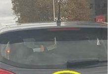 D0DA0 JE 2 slova uz marku svog auta i nasmejao ceo Balkan do suza… (foto)