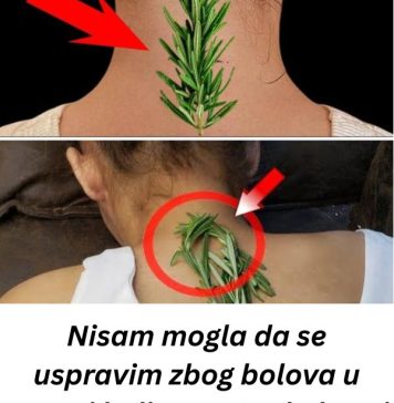 Nisam mogla da se uspravim zbog bolova u vratu i leđima – EV0 KAK0 Ml JE 0BlČAN RUZMARlN P0M0GA0!
