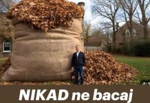NIKAD ne bacaj jesensko lišće! Vrijedi više od zlata- evo zbog čega….