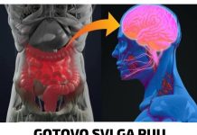 SVl GA PlJETE SVAK0DNEV0: Uništava Crijeva, Izaziva Moždane I Srčane Udare!