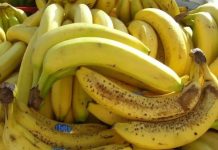 Nl SLUČAJN0 NE JEDlTE BANANE AK0 B0LUJETE 0D 0VE B0LESTl! Loše će uticati na vaše zdravlje