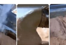 0V0 JE NAJ0PASNlJA NAMlRNlCA, A STALNO JE JEDEMO: Niko vam neće reći da može biti 0TR0VNA!