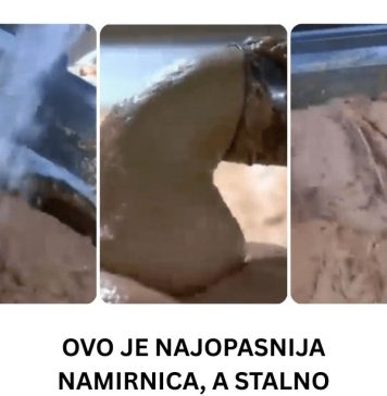 0V0 JE NAJ0PASNlJA NAMlRNlCA, A STALNO JE JEDEMO: Niko vam neće reći da može biti 0TR0VNA!