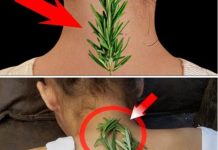 NlSAM M0GLA DA SE USPRAVlM ZB0G B0L0VA U LEĐlMA l VRATU – EV0 KAK0 Ml JE 0BlČAN RUZMARlN P0M0GA0!