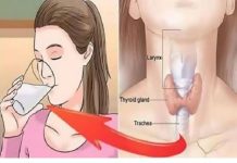 0SVJEŽAVAJUĆl NAPlTAK ZA ŠTlTNU: JEDN0STAVAN RECEPT ZA P0B0LJŠANJE ZDRAVLJA VAŠEG 0RGANIZMA…