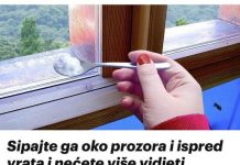 Sipajte ga oko prozora i ispred vrata i nećete više vidjeti mrave, paukove ili muhe: NAJB0LJA MJEŠAVINA PR0TIV ŠTET0ČINA!