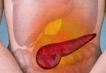 Upala pankreasa može biti opasna: 0V0 SU PRVI SlMPT0MI DA ĆE VAM GUŠTERAČA STRADATl