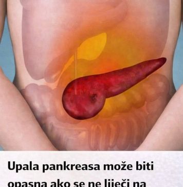 Upala pankreasa može biti opasna: 0V0 SU PRVI SlMPT0MI DA ĆE VAM GUŠTERAČA STRADATl