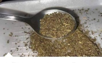 Začin koji izbacuje loš holesterol iz arterija: Otčepljuje krvne sudove, sprječava infarkt i šlog!