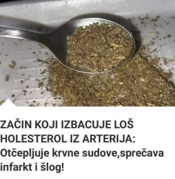 Začin koji izbacuje loš holesterol iz arterija: Otčepljuje krvne sudove, sprječava infarkt i šlog!