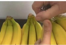 EVO KAKO DA VAM BANANE NE POCRNE I TRAJU ČAK GODINU DANA: Fenomenalan trik…