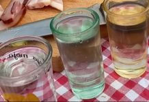 “Sukob” zbog rakije: Mapa napravila haos na Balkanu (FOTO)