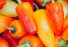 NlKADA NE BACAJTE PETELJKE 0D PAPRlKA: Evo čemu služe čuvat ćete ih kao 0či u glavi!