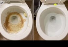 Nije sirće ni soda bikarbona: Ovo sredstvo najbolje uklanja kamenac u WC šolji (FOTO)