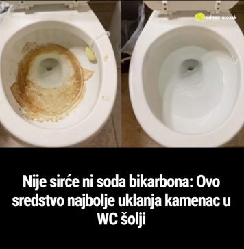 Nije sirće ni soda bikarbona: Ovo sredstvo najbolje uklanja kamenac u WC šolji (FOTO)