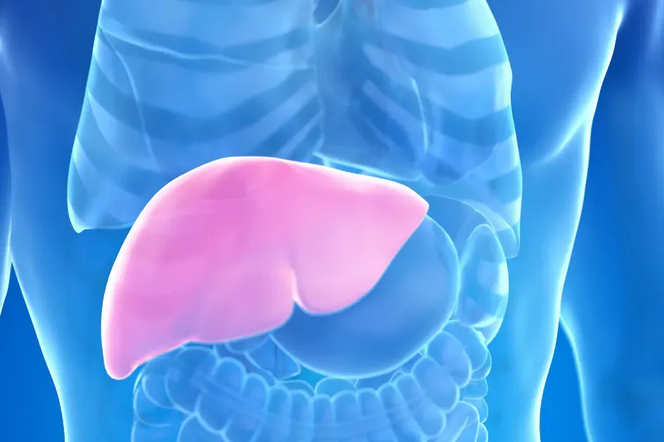 Hepatolog tvrdi da jedno voće obnavlja jetru za 7 dana, a sve zbog ovog enzima - featured image