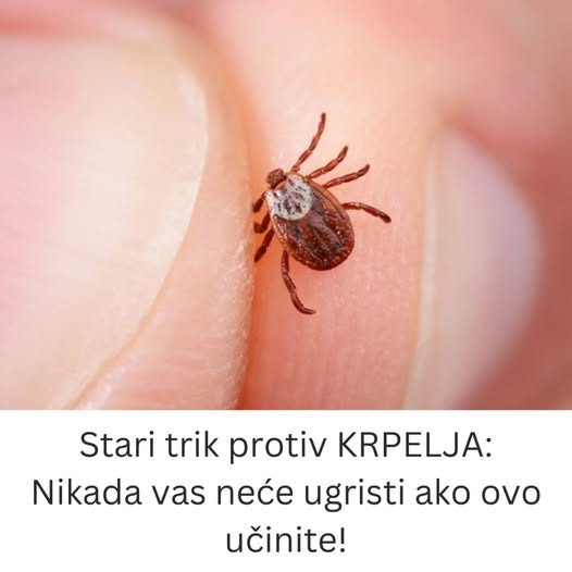 Stari trik protiv KRPELJA: Nikada vas neće ugristi ako ovo učinite! - featured image