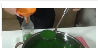 RAKIJA OD ŽALFIJE JAČA JE OD SVAKE HEMIJE: Ova 3 Recepta Obavezno Čuvajte Za Zdravlje Vas I Vaše Porodice - featured image