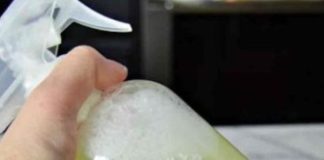 U Kući Više Nećete Naći Paukove, Muhe Ili Prehrambene Moljce: Jednostavno Kućno Rješenje Koje Će Ih TRAJNO 0tjerati (RECEPT) - featured image