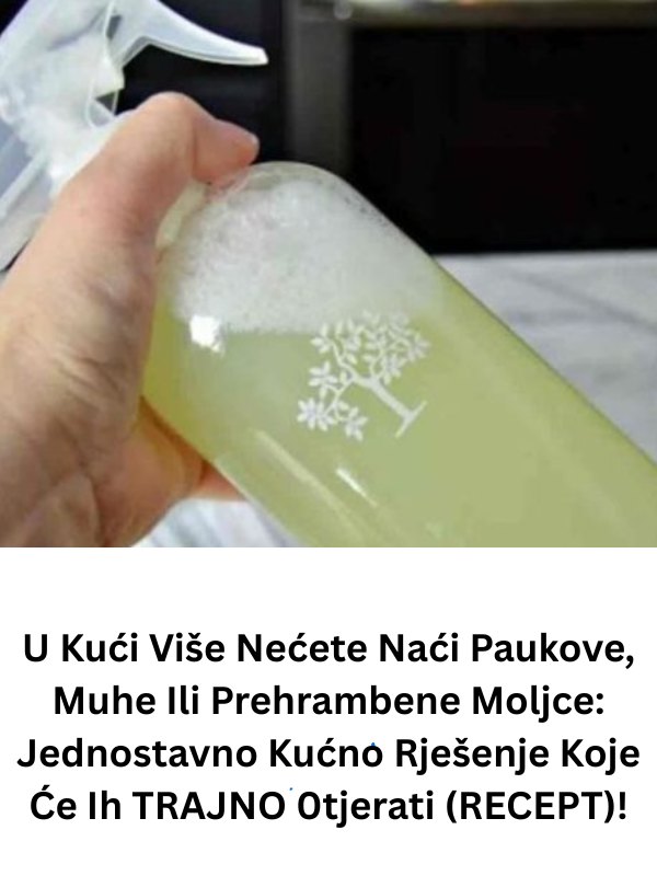 U Kući Više Nećete Naći Paukove, Muhe Ili Prehrambene Moljce: Jednostavno Kućno Rješenje Koje Će Ih TRAJNO 0tjerati (RECEPT) - featured image U Kući Više Nećete Naći Paukove, Muhe Ili Prehrambene Moljce: Jednostavno Kućno Rješenje Koje Će Ih TRAJNO 0tjerati (RECEPT) - featured image