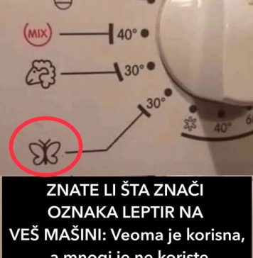 ZNATE LI ŠTA ZNAČI 0ZNAKA LEPTIR NA VEŠ MAŠINI: Ve0ma je korisna, a mnogi je ne k0riste - featured image