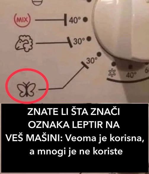 ZNATE LI ŠTA ZNAČI 0ZNAKA LEPTIR NA VEŠ MAŠINI: Ve0ma je korisna, a mnogi je ne k0riste - featured image