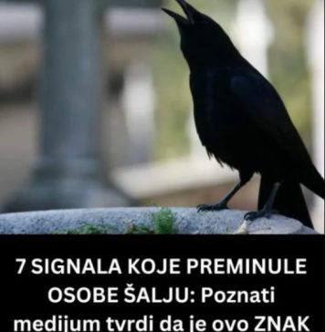 SIGNALI KOJE PREMINULE OSOBE ŠALJU: Poznati medij tvrdi da je to ZNAK da su tu i da nam žele nešto poručiti SIGNALI KOJE PREMINULE OSOBE ŠALJU: Poznati medij tvrdi da je to ZNAK da su tu i da nam žele nešto poručiti - featured image