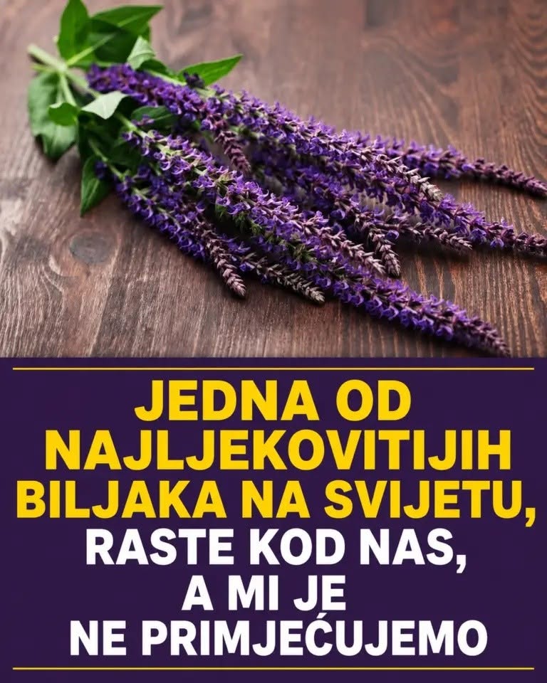 Jedna od najljekovitijih biljaka na svijetu, raste kod nas, a mi je ne primjećujemo - featured image