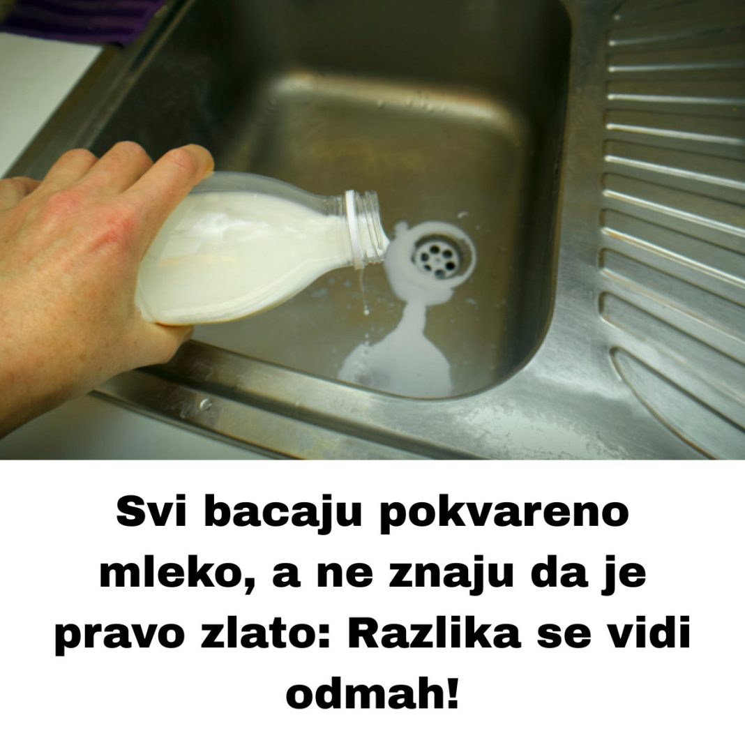 Svi bacaju pokvareno mleko, a ne znaju da je pravo zlato: Razlika se vidi odmah! - featured image Svi bacaju pokvareno mleko, a ne znaju da je pravo zlato: Razlika se vidi odmah! - featured image