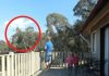UHVAĆEN JE SA ĆERKAMA NA BALKONU, MAJKA ODMAH IZLETJELA: Vrištali su dok su to radili…. (VIDEO) - featured image