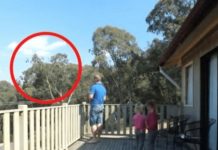 UHVAĆEN JE SA ĆERKAMA NA BALKONU, MAJKA ODMAH IZLETJELA: Vrištali su dok su to radili…. (VIDEO) - featured image