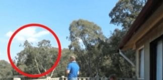 UHVAĆEN JE SA ĆERKAMA NA BALKONU, MAJKA ODMAH IZLETJELA: Vrištali su dok su to radili…. (VIDEO) - featured image