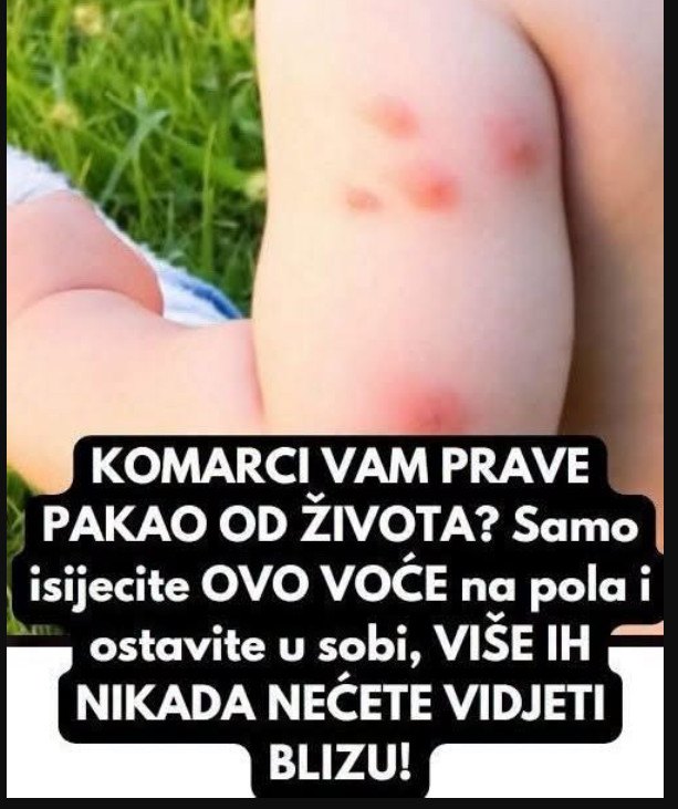 KOMARCI VAM PRAVE PAKAO OD ŽIVOTA? Samo isijecite OVO VOĆE na pola i ostavite u sobi, VIŠE IH NIKADA NEĆETE VIDJETI BLIZU! - featured image