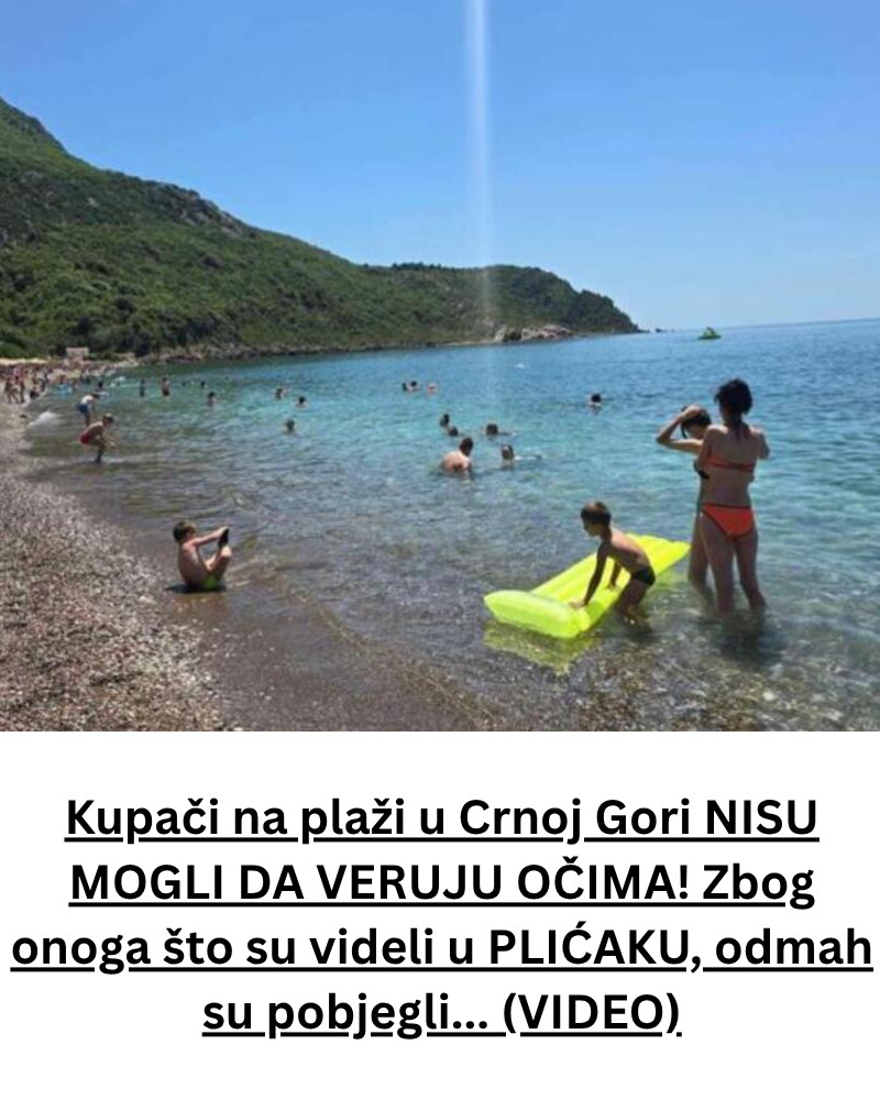 Kupači na plaži u Crnoj Gori NISU MOGLI DA VERUJU OČIMA! Zbog onoga što su videli u PLIĆAKU, odmah su pobjegli… (VIDEO) - featured image Kupači na plaži u Crnoj Gori NISU MOGLI DA VERUJU OČIMA! Zbog onoga što su videli u PLIĆAKU, odmah su pobjegli… (VIDEO) - featured image