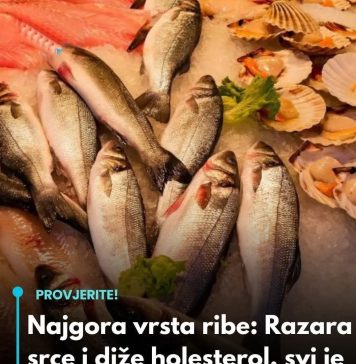 0vo je najgora vrsta ribe: Razara srce i diže holesterol! - featured image