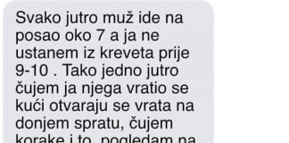 Moram priznati da moj suprug na posao odlazi oko 7 sati ujutro, dok ja inače ne ustajem iz kreveta do 9-10 sati. - featured image