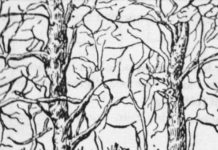 Prva životinja koju vidite na ilustraciji otkriće vam apsolutno sve o vašoj ličnosti i to bez greške - featured image