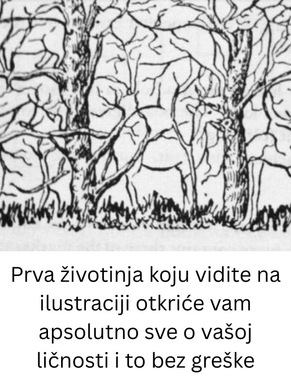 Prva životinja koju vidite na ilustraciji otkriće vam apsolutno sve o vašoj ličnosti i to bez greške - featured image Prva životinja koju vidite na ilustraciji otkriće vam apsolutno sve o vašoj ličnosti i to bez greške - featured image