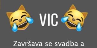 VIC DANA: Svekrva i snaja - featured image
