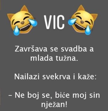 VIC DANA: Svekrva i snaja - featured image