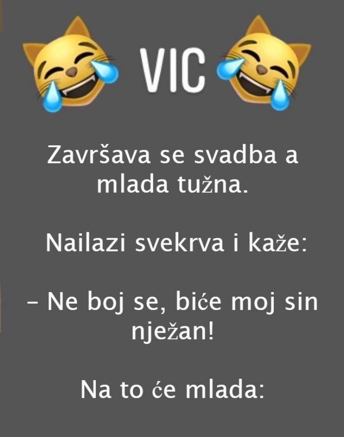 VIC DANA: Svekrva i snaja - featured image