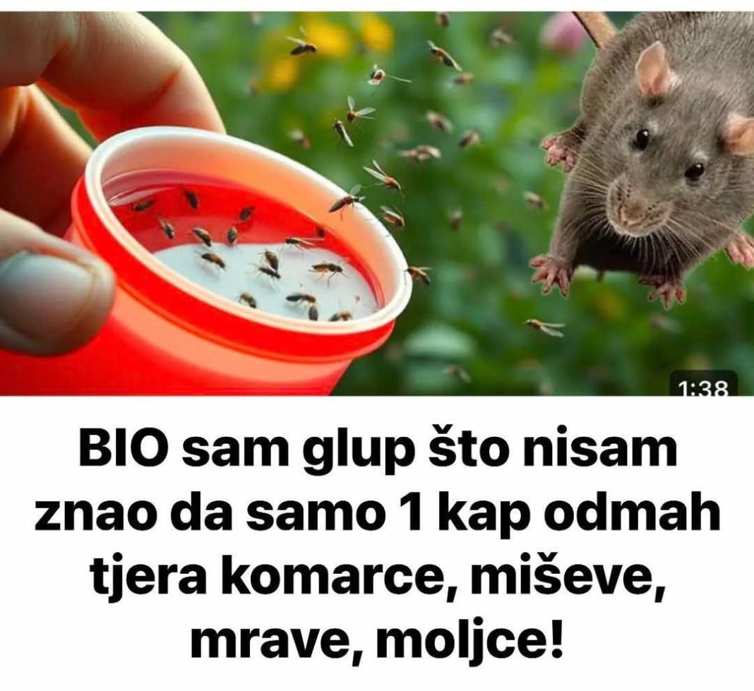 BIO sam glup što nisam znao da samo 1 kap OVOGA odmah tjera komarce, miševe, mrave, moljce! (FOTO) - featured image