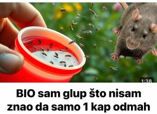 BIO sam glup što nisam znao da samo 1 kap OVOGA odmah tjera komarce, miševe, mrave, moljce! (FOTO) - featured image