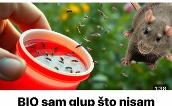 BIO sam glup što nisam znao da samo 1 kap OVOGA odmah tjera komarce, miševe, mrave, moljce! (FOTO) - featured image