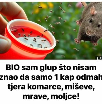 BIO sam glup što nisam znao da samo 1 kap OVOGA odmah tjera komarce, miševe, mrave, moljce! (FOTO) - featured image