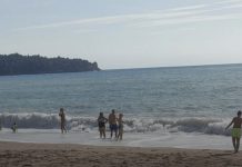 Panika kod Sutomora, JEZIVO MORSKO STVORENJE sledilo kupače!SVI PREDTRAVLJENI POBJEGLI SA PLAŽE GLAVOM BEZ OBZIRA!!! Panika kod Sutomora, JEZIVO MORSKO STVORENJE sledilo kupače!SVI PREDTRAVLJENI POBJEGLI SA PLAŽE GLAVOM BEZ OBZIRA!!! - featured image