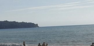 Panika kod Sutomora, JEZIVO MORSKO STVORENJE sledilo kupače!SVI PREDTRAVLJENI POBJEGLI SA PLAŽE GLAVOM BEZ OBZIRA!!! - featured image
