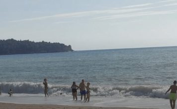 Panika kod Sutomora, JEZIVO MORSKO STVORENJE sledilo kupače!SVI PREDTRAVLJENI POBJEGLI SA PLAŽE GLAVOM BEZ OBZIRA!!! Panika kod Sutomora, JEZIVO MORSKO STVORENJE sledilo kupače!SVI PREDTRAVLJENI POBJEGLI SA PLAŽE GLAVOM BEZ OBZIRA!!! - featured image